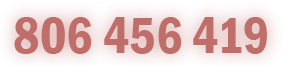 806 456 419